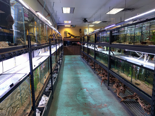 Fish Store «Aquatek Tropical Fish», reviews and photos, 8023 Burnet Rd # 1, Austin, TX 78757, USA