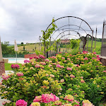 Photo n°5 de l'avis de Daniele.. fait le 07/06/2020 à 08:21 sur le  Cascina Faletta - Ristorante - B&B - Wine Tasting à Casale Monferrato