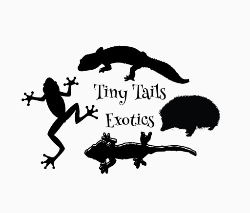Tiny Tails Exotics