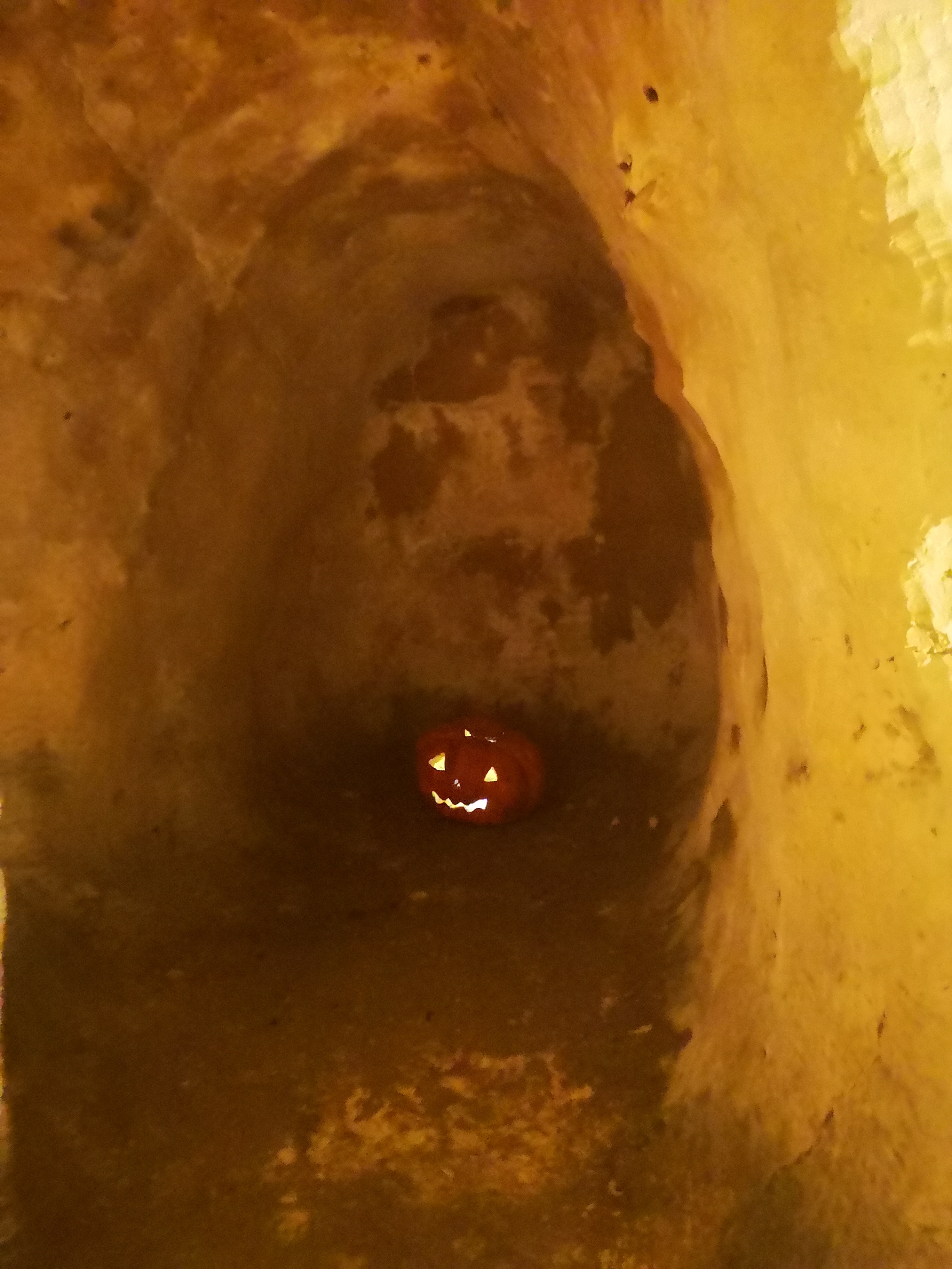 Photo n° 3 de l'avis de Magali.i fait le 22/05/2019 à 08:42