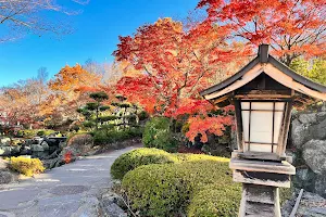 Sakurayama Park image