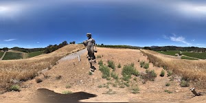 Lancaster Vineyards - photo 9