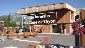 Cône de Thyon