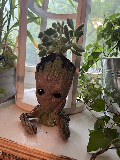 Garden Center «Beachside Gardens & Gifts», reviews and photos, 3725 US-12, Michigan City, IN 46360, USA