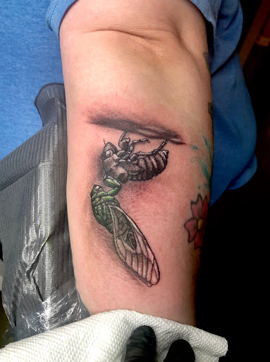 Tattoo Shop «Burning Lotus Tattoo», reviews and photos, 34662 LA-16 A, Denham Springs, LA 70706, USA