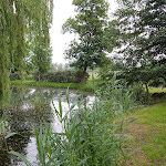 Photo n°1 de l'avis de Magnus.u fait le 07/07/2019 à 07:34 sur le  Reethäuser auf Rügen à Mönchgut