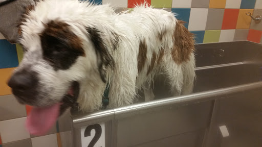 Pet Supply Store «Unleashed by Petco», reviews and photos, 1572 Foothill Blvd, La Verne, CA 91750, USA