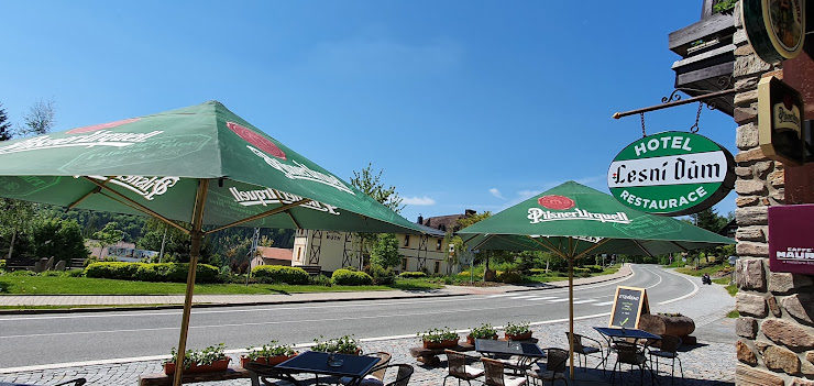 Extérieur hôtels Forest Hut Hotel 542 25 Janské Lázně