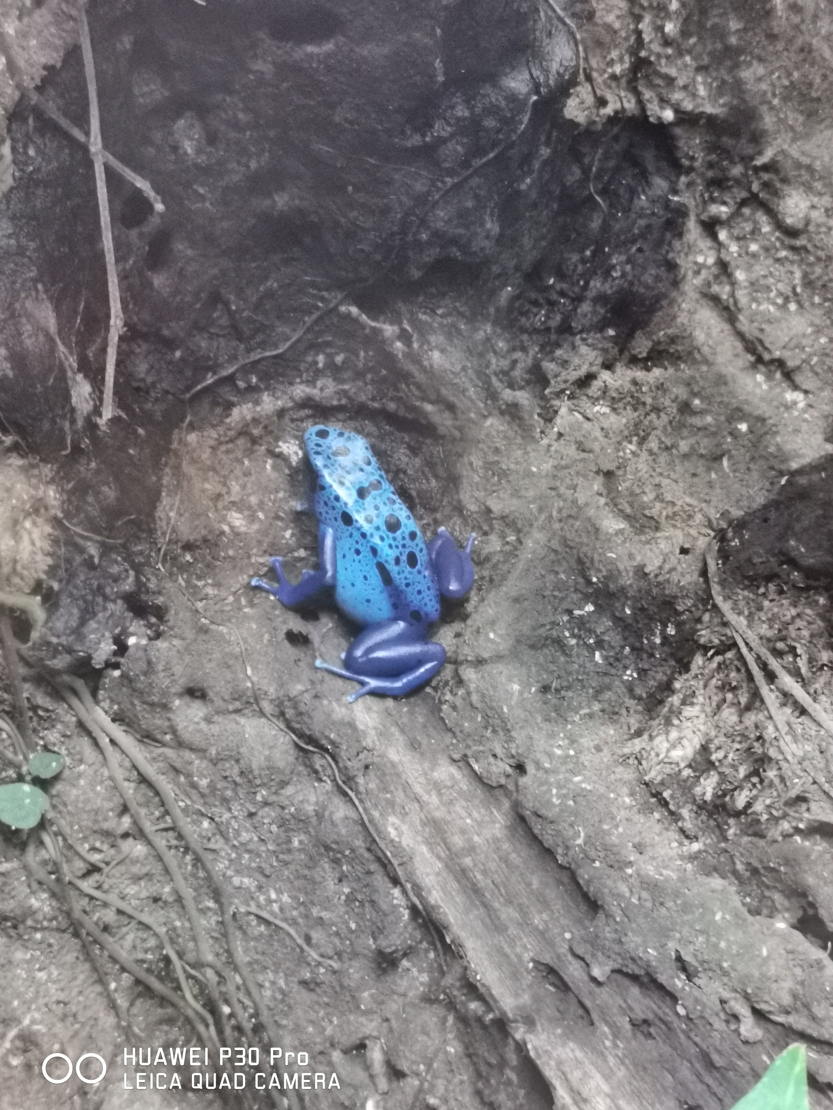 Photo n° 9 de l'avis de sulivan.u fait le 30/10/2023 à 12:42