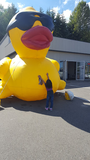 Car Dealer «Advantage Nissan», reviews and photos, 5101 Auto Center Blvd, Bremerton, WA 98312, USA