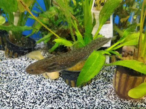 Pet Supply Store «Petco Animal Supplies», reviews and photos, 10 Sylvan St, Peabody, MA 01960, USA