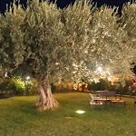 Photo n°3 de l'avis de WILLIAM.I fait le 06/08/2022 à 21:40 sur le  Sulla Collina ristorante-pizzeria à Elice