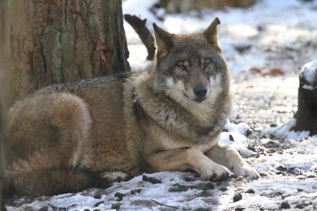 Photo n° 12 de l'avis de yolande.r fait le 24/10/2023 à 19:03