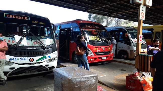 Opiniones de Terminal de Buses Rurales Temuco en Temuco - Servicio de transporte