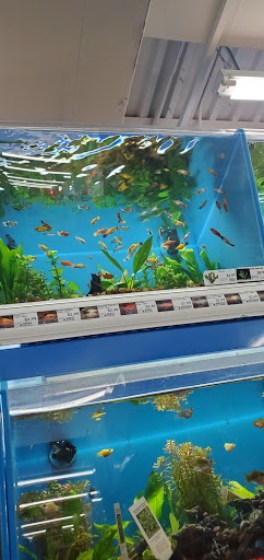 Pet Supply Store «Pet Supermarket», reviews and photos, 1746 E Silver Springs Blvd, Ocala, FL 34470, USA