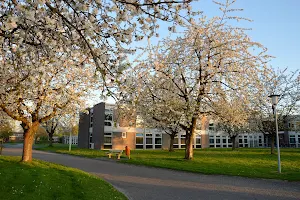 Asster Campus Melveren image