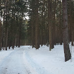 Photo n°2 de l'avis de Alfredo.e fait le 29/01/2018 à 08:48 sur le  Green Lake Hotel Weiher à Lago di Issengo
