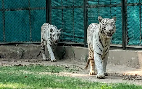 Sarthana Nature Park & Zoo image