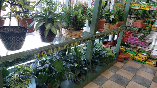 Florist «Marine Florists», reviews and photos, 1995 Flatbush Ave, Brooklyn, NY 11234, USA