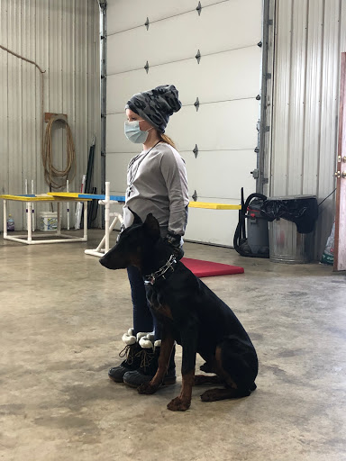Dog Training Personalized