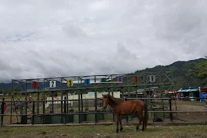 Arena Pacuan Kuda, takengon image