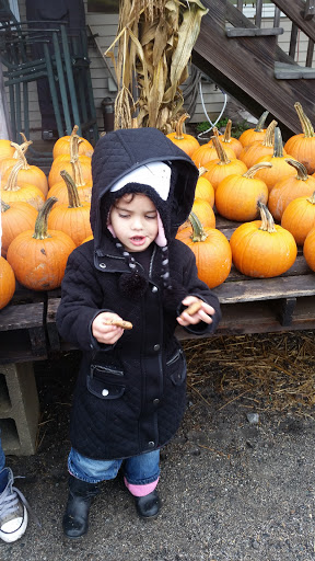 Farm «Fairmount Fruit Farm», reviews and photos, 887 Lincoln Street, Franklin, MA 02038, USA