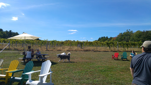 Vineyard «Black Birch Vineyard/ Black Birch Winery», reviews and photos, 108-109 Straits Rd, Hatfield, MA 01066, USA