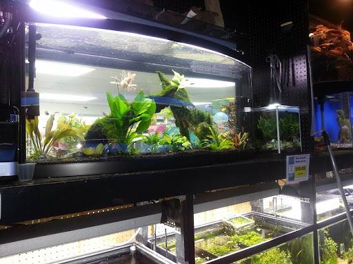 Pet Store «Laconia Pet Center», reviews and photos, 1343 Union Ave, Laconia, NH 03246, USA