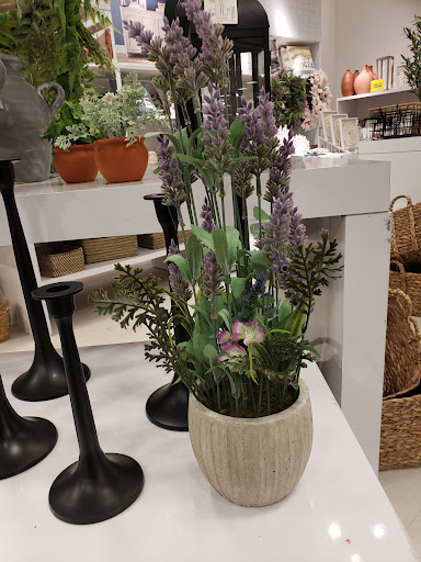 Department Store «JCPenney», reviews and photos, 6200 Grandview Pkwy, Davenport, FL 33837, USA