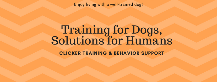 Real Terms Dog Training