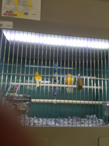 Pet Supply Store «Pet Express», reviews and photos, 180 Commercial St, Lynn, MA 01905, USA