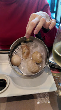 Dumpling du Restaurant chinois TIZEN - Gastronomie Chinoise à Rennes - n°4