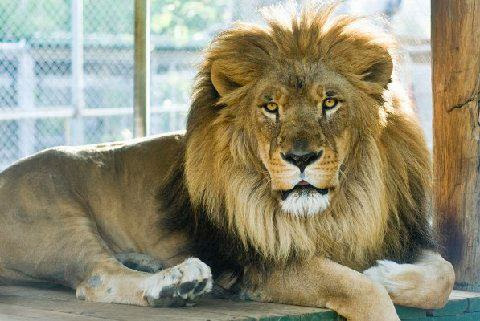 Meat Processor «Exotic Meat Market», reviews and photos, 12210 Michigan St #13, Grand Terrace, CA 92313, USA