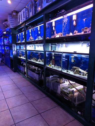 Pet Store «Aquarium Designs», reviews and photos, 15229 San Pedro Ave, San Antonio, TX 78232, USA