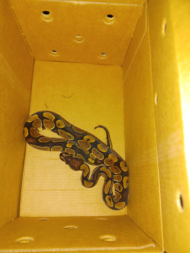 Pet Supply Store «PetSmart», reviews and photos, 144 Retail Commons Pkwy, Martinsburg, WV 25403, USA