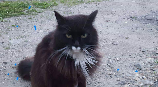 Tourist Attraction «Ice Caves», reviews and photos, Sams Point Rd, Pine Bush, NY 12566, USA