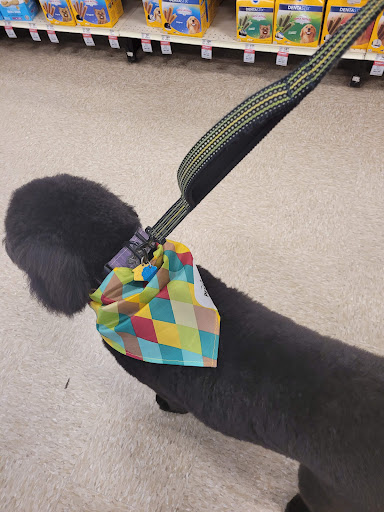 Pet Supply Store «PetSmart», reviews and photos, 7177 SE 29th St, Midwest City, OK 73110, USA