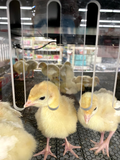 Home Improvement Store «Tractor Supply Co.», reviews and photos, 1360 Strickler Rd, Mount Joy, PA 17552, USA