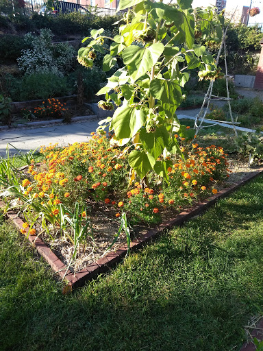 History Museum «SLATER MILL-Historic Site», reviews and photos, 67 Roosevelt Ave, Pawtucket, RI 02860, USA