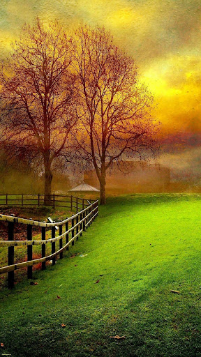 Home Improvement Store «The Home Depot», reviews and photos, 172 Fulton Ave, Hempstead, NY 11550, USA