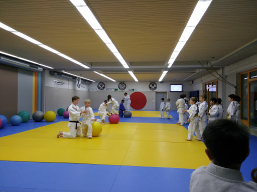 Judo-Klassen Zürich