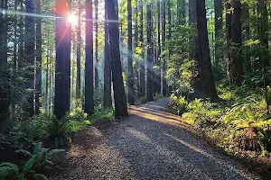 Rohner Park Hiking Trails image