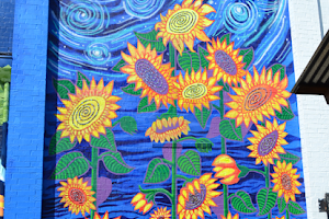 Sunflower Mural image