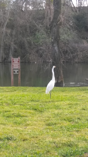 Home Improvement Store «Tractor Supply Co.», reviews and photos, 860 Jack Tone Rd, Ripon, CA 95366, USA