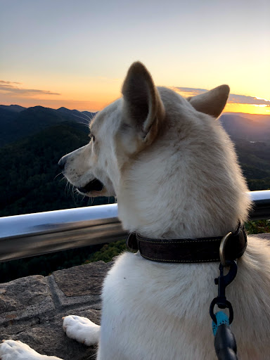 National Park «Cumberland Gap National Historical Park», reviews and photos, 91 Bartlett Park Road, Middlesboro, KY 40965, USA