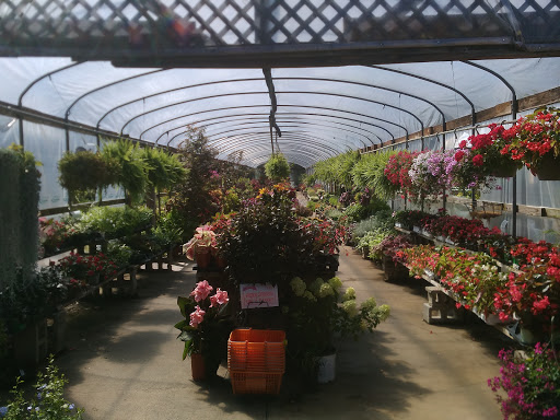 Garden Center «Schott Gardens», reviews and photos, 2209 Nashville Rd, Bowling Green, KY 42101, USA