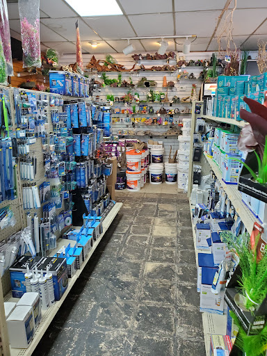 Tropical Fish Store «Fish Den Inc.», reviews and photos, 5055 W 44th Ave, Denver, CO 80212, USA