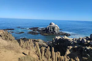 Punta de Lobos image