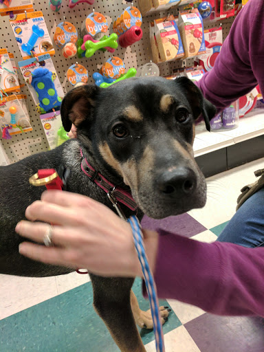 Pet Supply Store «Land of Paws», reviews and photos, 4021 Somerset Dr, Prairie Village, KS 66208, USA