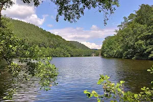 Seehof-Weiher image